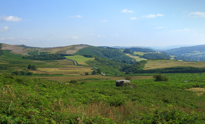 Callow Bank Callow Bank